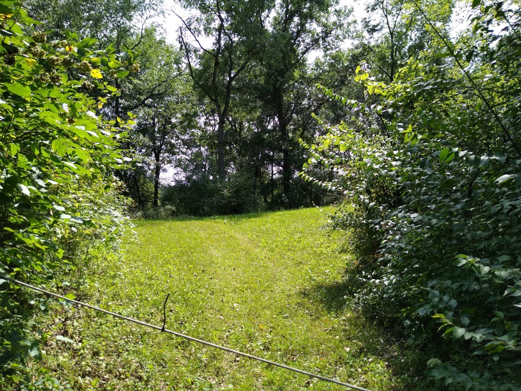 Iowa