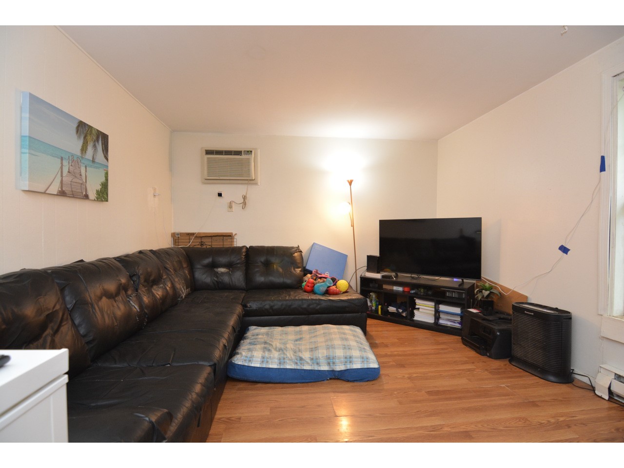 Dane